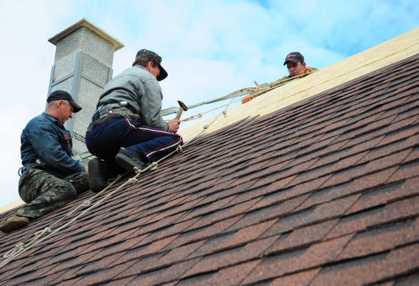 Quick and Trustworthy Emergency Roof Repair Services in Eaton, CO